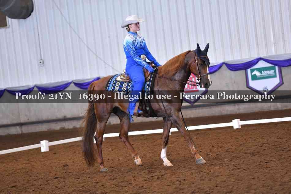 Proof Number 21YN_16390