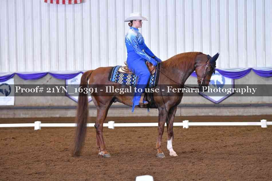 Proof Number 21YN_16391
