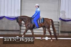 21YN_16394 thumbnail
