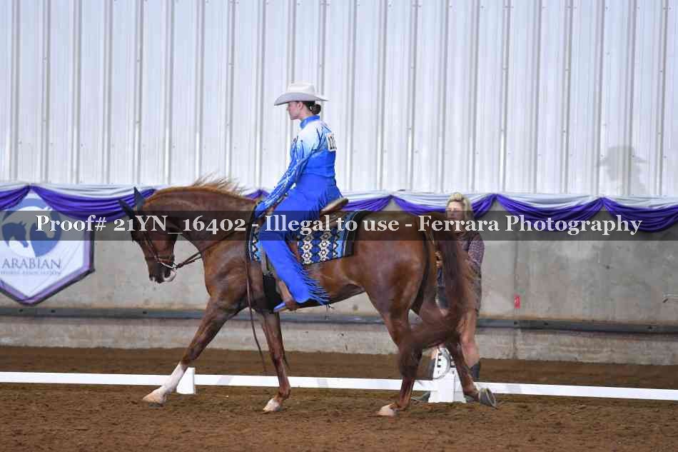 Proof Number 21YN_16402