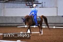 21YN_16403 thumbnail