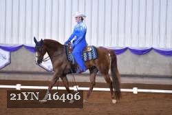 21YN_16406 thumbnail