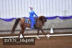 21YN_16408 thumbnail