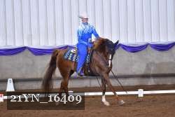 21YN_16409 thumbnail