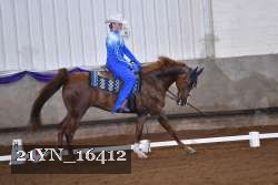 21YN_16412 thumbnail