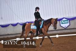 21YN_16414 thumbnail