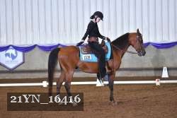 21YN_16416 thumbnail
