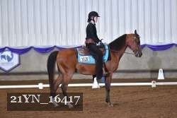 21YN_16417 thumbnail