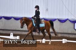 21YN_16420 thumbnail