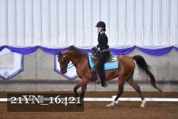 21YN_16421 thumbnail