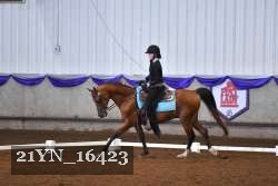 21YN_16423 thumbnail