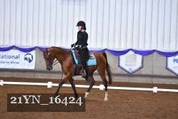 21YN_16424 thumbnail