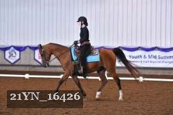 21YN_16426 thumbnail