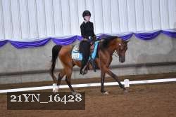 21YN_16428 thumbnail