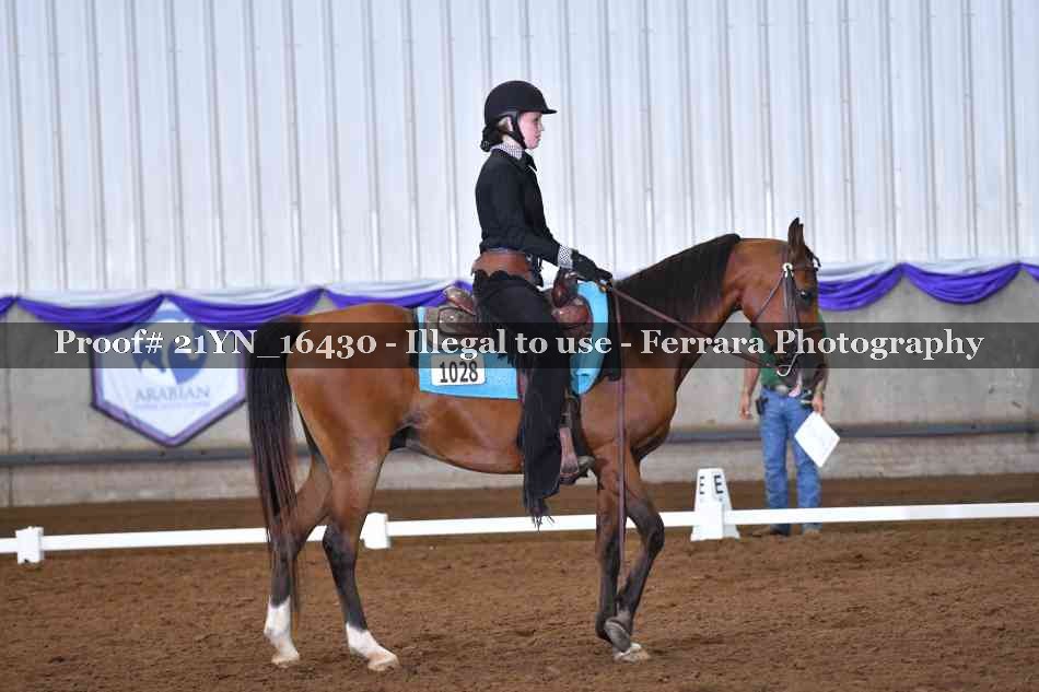 Proof Number 21YN_16430