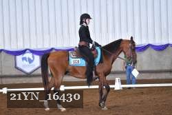 21YN_16430 thumbnail