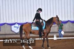 21YN_16432 thumbnail