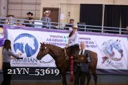 21YN_53619 thumbnail