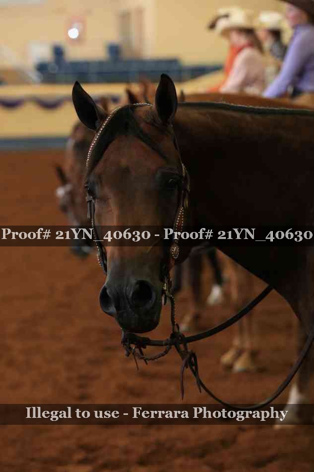 Proof Number 21YN_40630