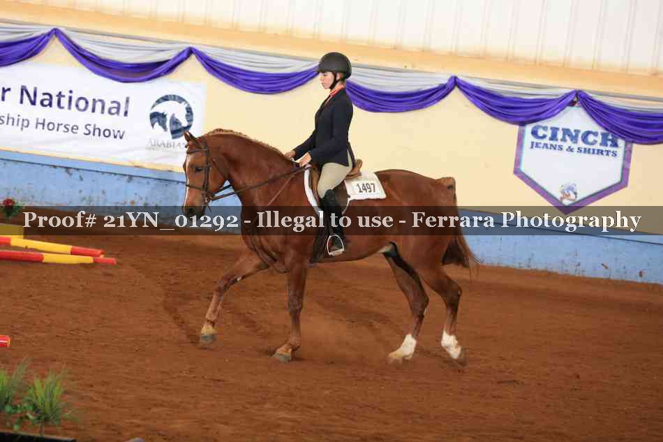 Proof Number 21YN_01292