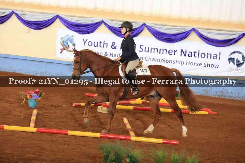 Proof Number 21YN_01295