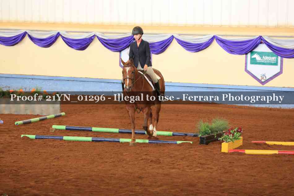 Proof Number 21YN_01296