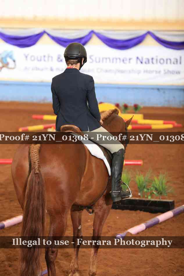 Proof Number 21YN_01308
