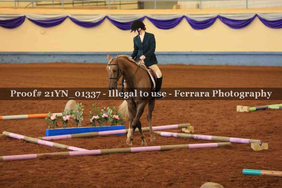 Proof Number 21YN_01337