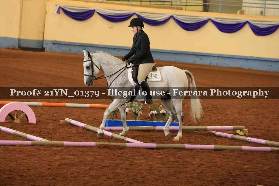 Proof Number 21YN_01379