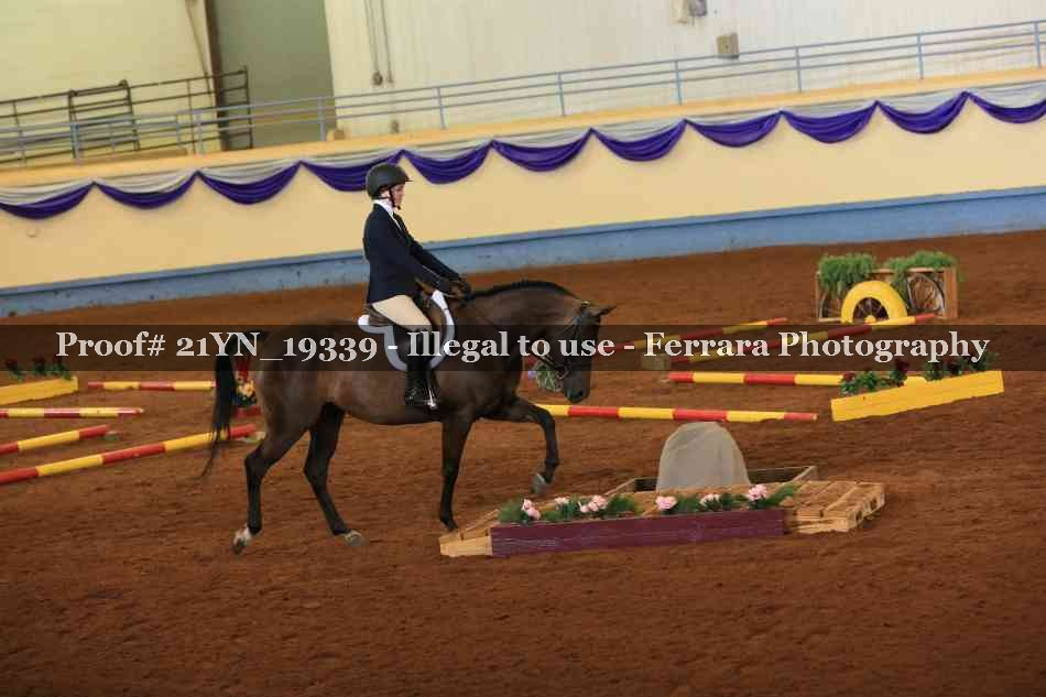 Proof Number 21YN_19339