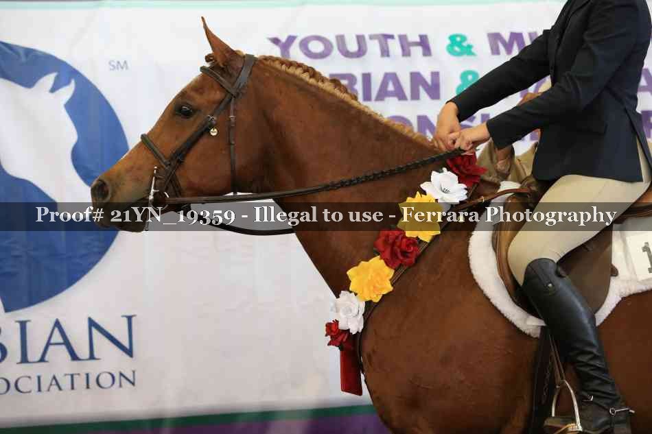 Proof Number 21YN_19359