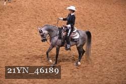 21YN_46189 thumbnail