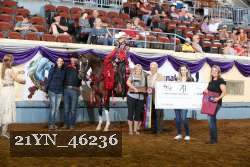 21YN_46236 thumbnail