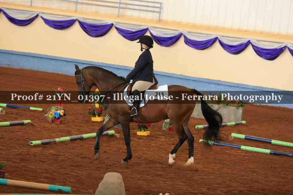 Proof Number 21YN_01397