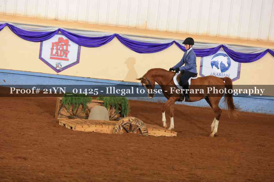 Proof Number 21YN_01425