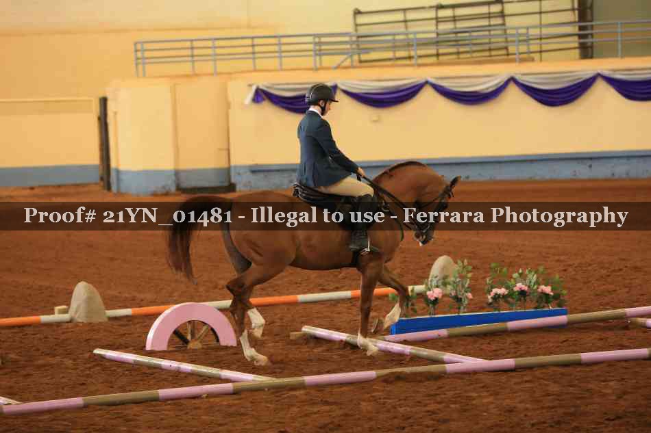 Proof Number 21YN_01481