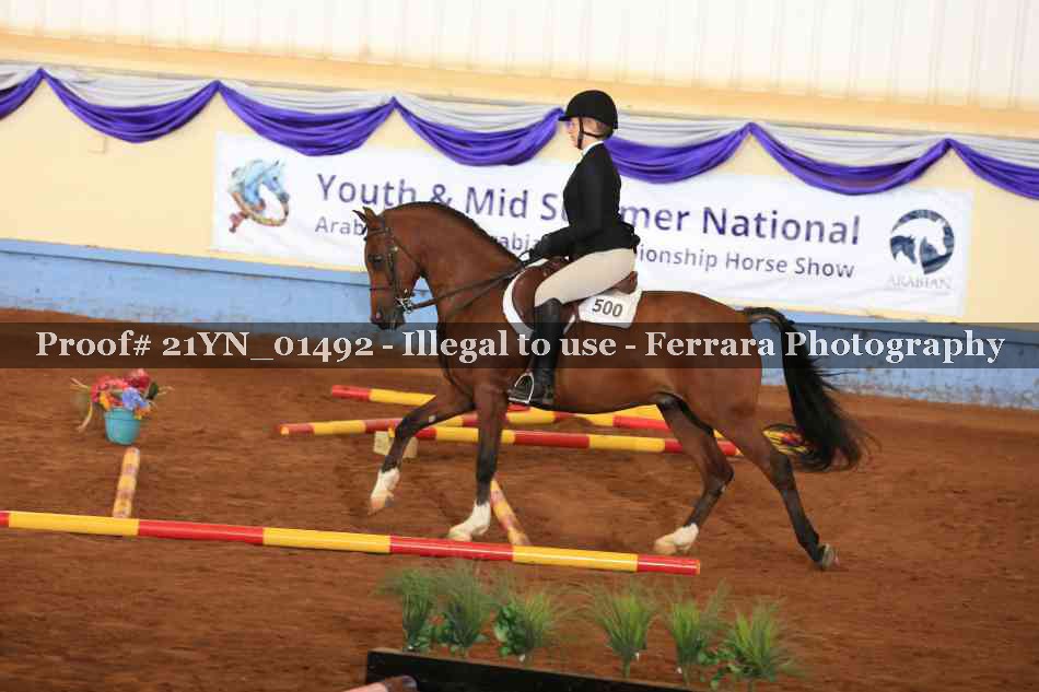 Proof Number 21YN_01492