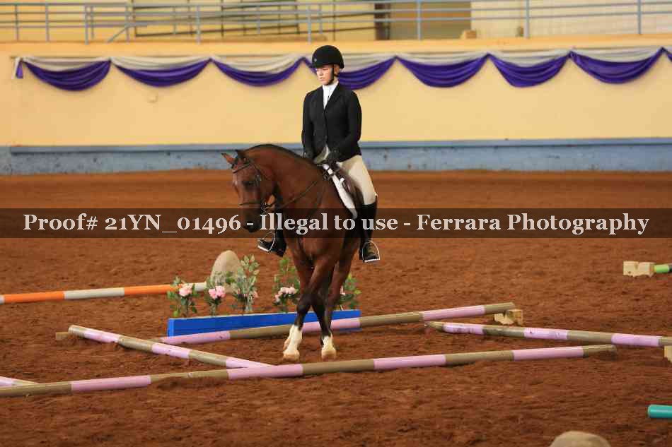 Proof Number 21YN_01496