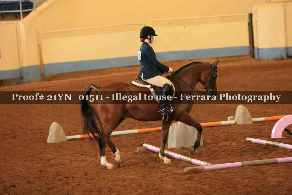 Proof Number 21YN_01511