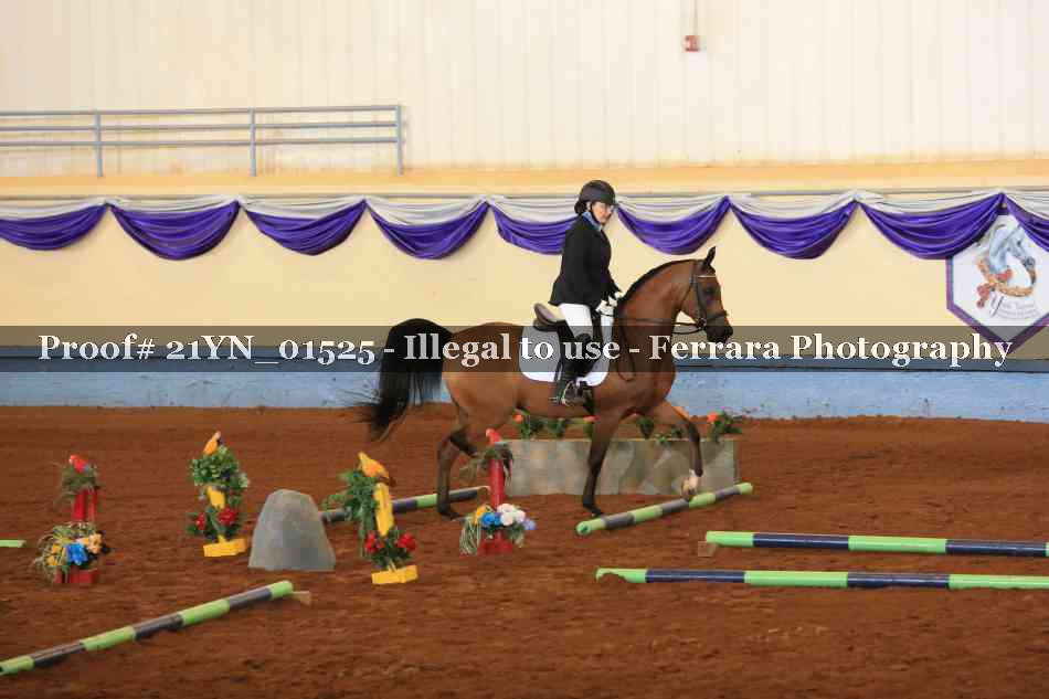Proof Number 21YN_01525