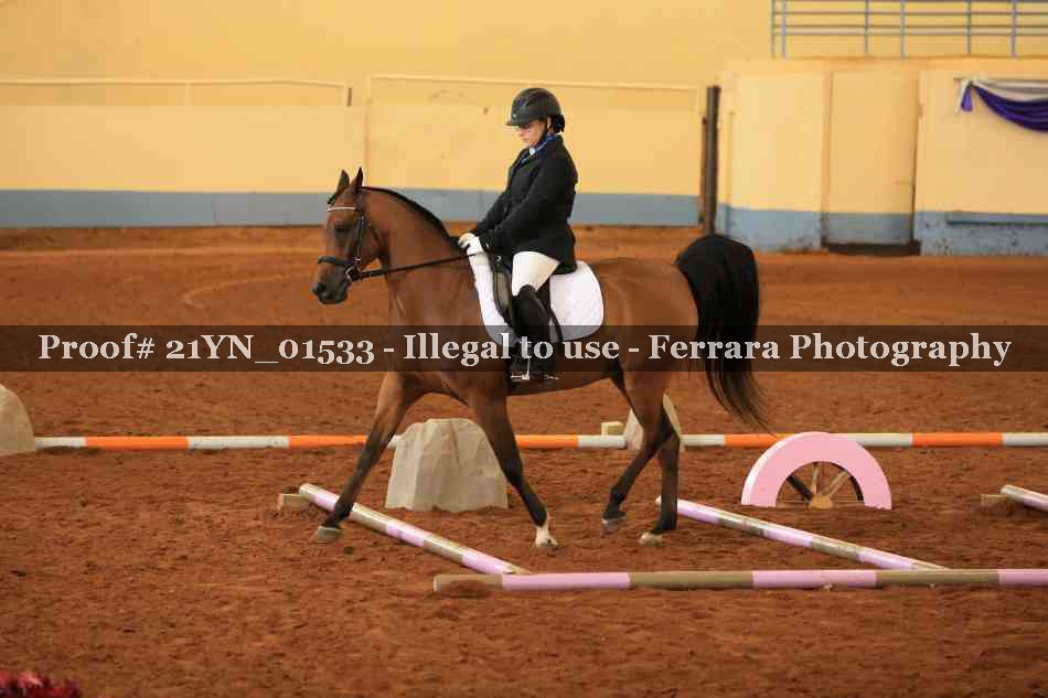 Proof Number 21YN_01533