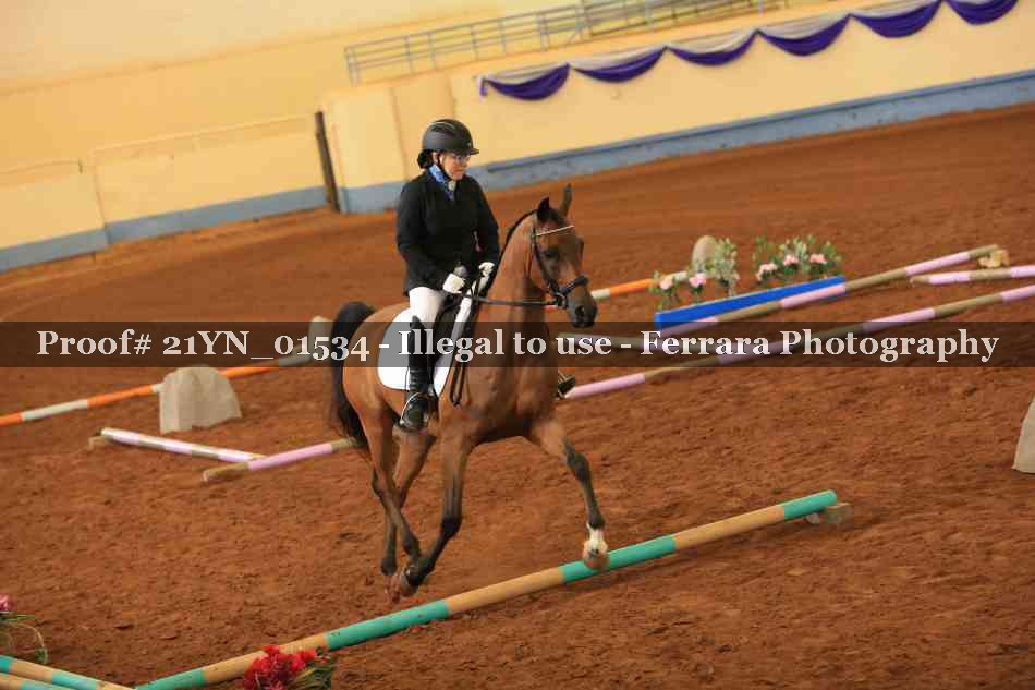 Proof Number 21YN_01534