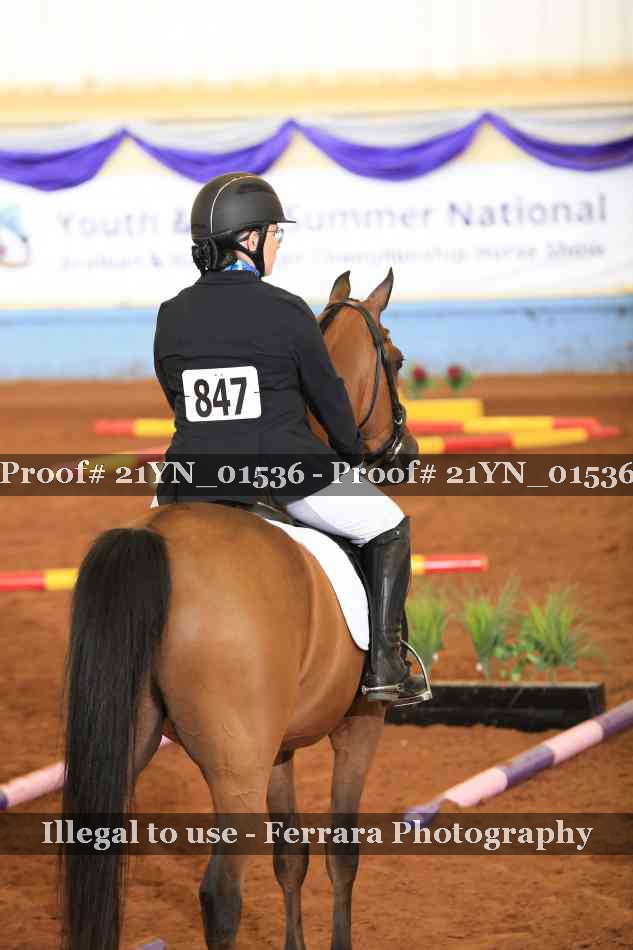 Proof Number 21YN_01536