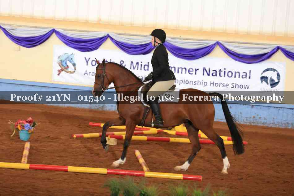 Proof Number 21YN_01540