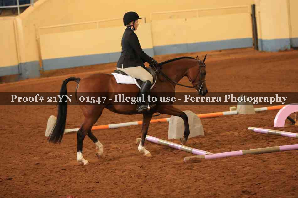 Proof Number 21YN_01547