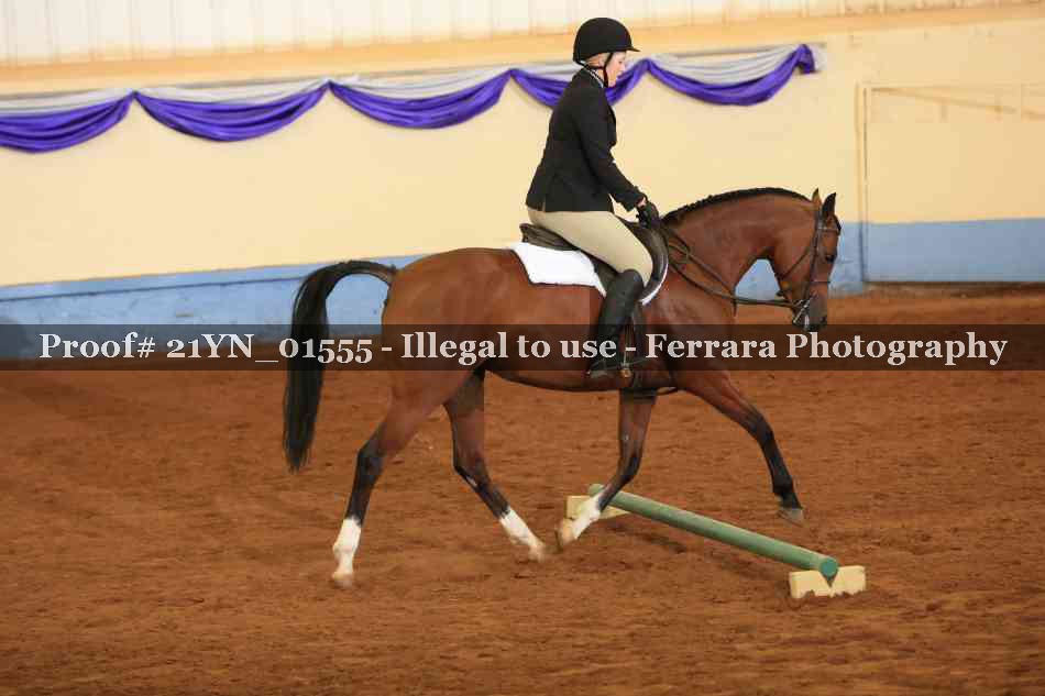 Proof Number 21YN_01555