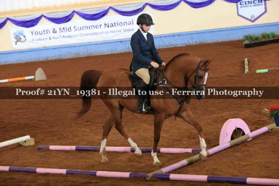 Proof Number 21YN_19381