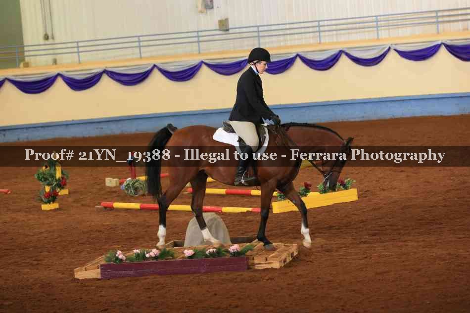 Proof Number 21YN_19388