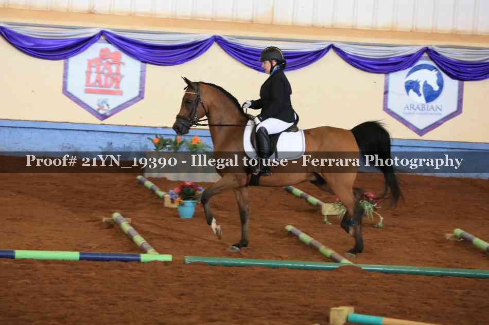 Proof Number 21YN_19390