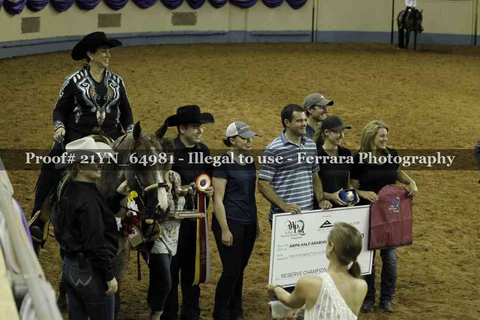 Proof Number 21YN_64981
